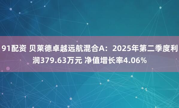 91配资 贝莱德卓越远航混合A：2025年第二季度利润379.63万元 净值增长率4.06%