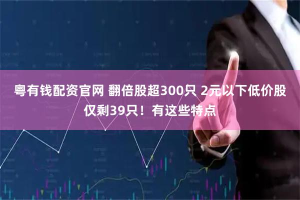 粤有钱配资官网 翻倍股超300只 2元以下低价股仅剩39只！有这些特点