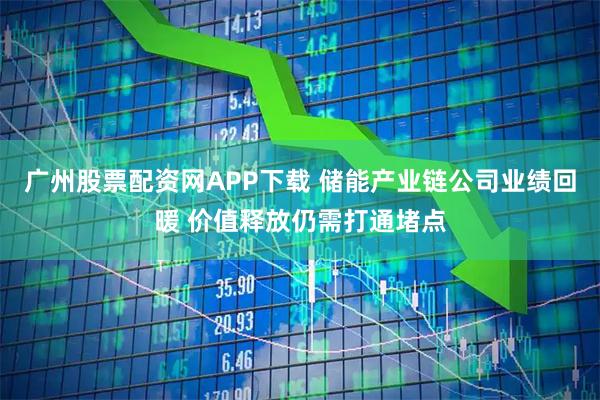 广州股票配资网APP下载 储能产业链公司业绩回暖 价值释放仍需打通堵点